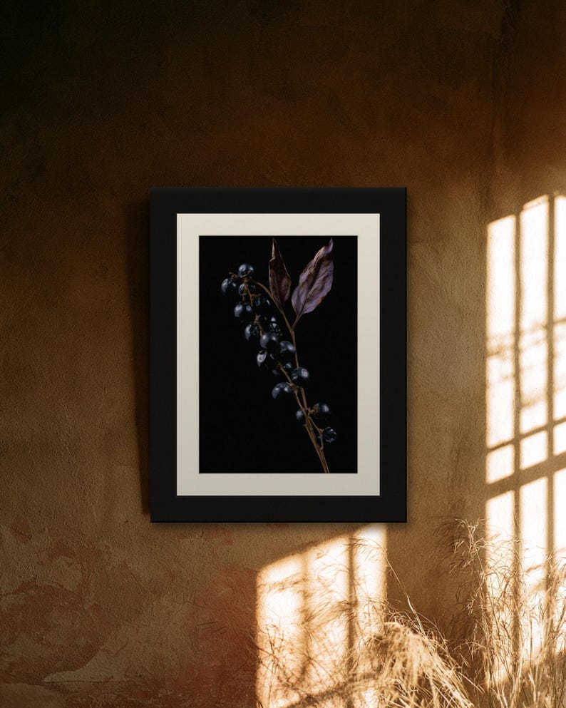 Belladonna Poison Garden Kunstdruck, Dark Academia Wandbild, Dekoration für ein gotisches Kuriositätenkabinett, Digitaler Download Bild 9