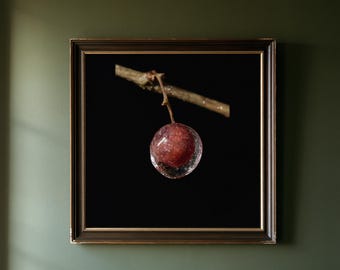Peut inclure: Une œuvre d'art murale encadrée présentant une photographie sombre et contrastée d'une baie rouge unique enfermée dans une bulle de glace sphérique et transparente, suspendue à une fine branche brune texturée sur fond noir.