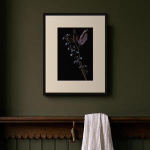 Belladonna Poison Garden Kunstdruck, Dark Academia Wandbild, Dekoration für ein gotisches Kuriositätenkabinett, Digitaler Download Bild 8