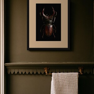 Stag Beetle Print, Dark Academia Wall Art, Gothic Cabinet of Curiosities (Digital Download) image 10