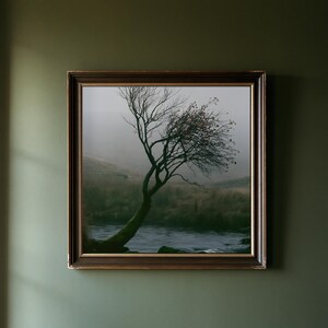 May include: A square wall art piece featuring a dark, weathered wooden frame surrounding a landscape photograph of a solitary, windswept tree leaning over a calm river in a misty, overcast environment with muted green and brown tones.