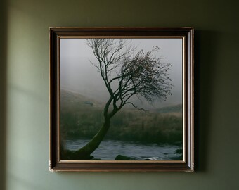 May include: A square wall art piece featuring a dark, weathered wooden frame surrounding a landscape photograph of a solitary, windswept tree leaning over a calm river in a misty, overcast environment with muted green and brown tones.