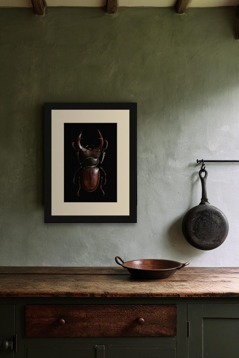 Stag Beetle Print, Dark Academia Wall Art, Gothic Cabinet of Curiosities (Digital Download) image 7