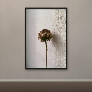 May include: A framed vertical wall art print featuring a single dried brown flower with a textured, layered bloom and a thin stem. The flower is centered against a split background of smooth light gray and a rough, white, stucco-like texture.