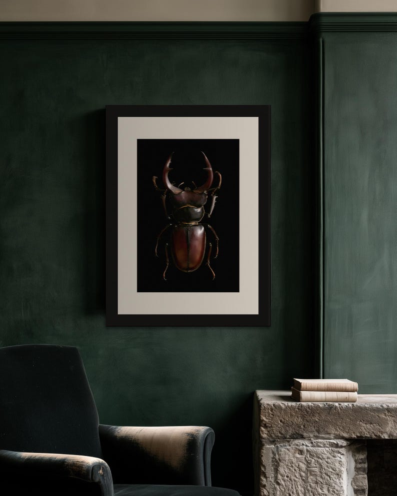 Stag Beetle Print, Dark Academia Wall Art, Gothic Cabinet of Curiosities (Digital Download) image 8