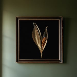 May include: A square wall art piece featuring a dark brown wooden frame with gold inner detailing. The artwork displays a single dried, split seed pod with visible light brown seeds inside, set against a solid, deep black background.