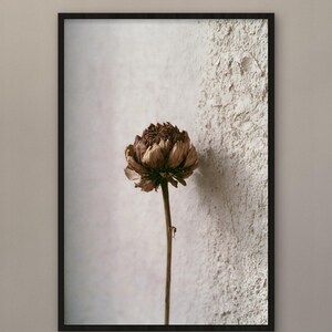 May include: A framed vertical wall art print featuring a single dried brown flower with layered petals on a thin stem. The flower is positioned against a textured, off-white wall surface that transitions from a smooth area to a rough, plaster-like finish.