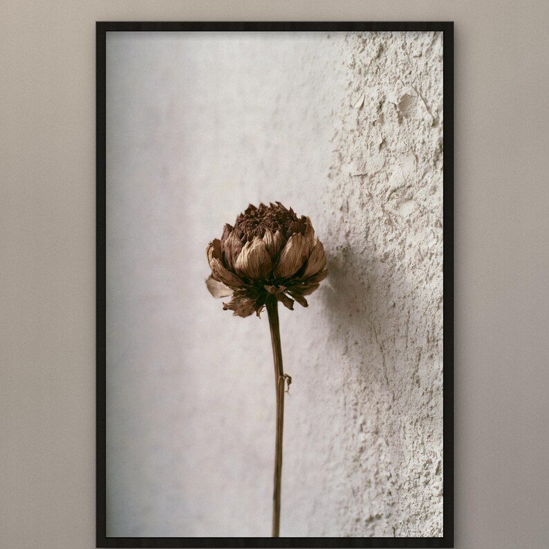 May include: A framed vertical wall art print featuring a single dried brown flower with layered petals on a thin stem. The flower is positioned against a textured, off-white wall surface that transitions from a smooth area to a rough, plaster-like finish.