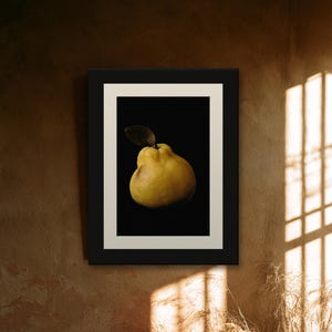 Golden Quince Print, Fruit Still Life Art, Dark Cottagecore Kitchen Art, Mustard Yellow Printable image 7