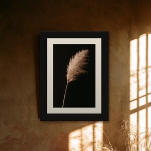 Pampas Grass Herbarium Print, Dark Academia Wall Art, Gothic Cabinet of Curiosities Decor, Digital Download image 9