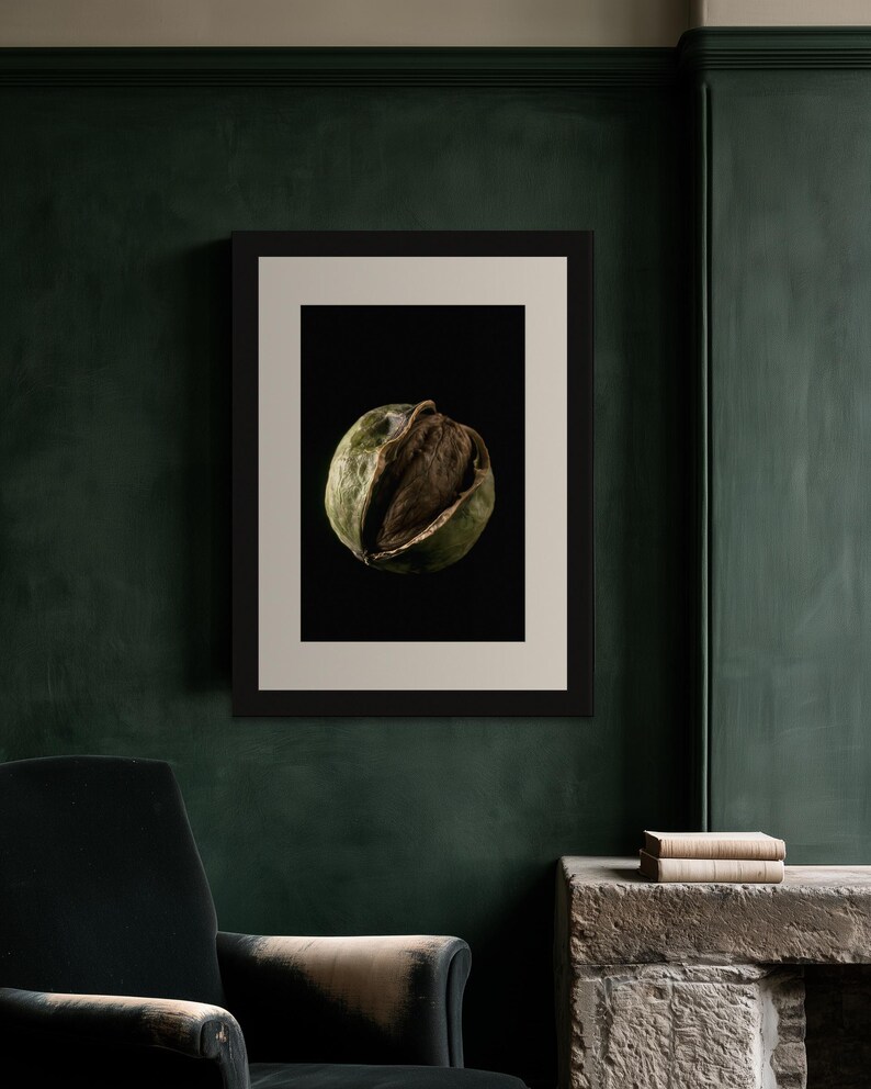 Black Walnut Print, Split Husk Art, Dark Academia Study Art, Olive and Brown Printable image 3