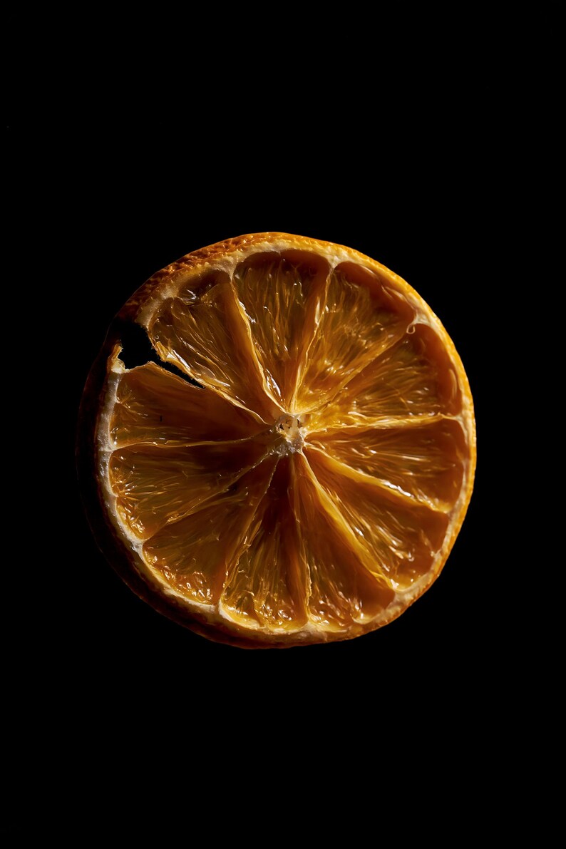 Dried Orange Slice Print, Amber Citrus Art, Dark Kitchen Wall Decor (Digital Download) image 10
