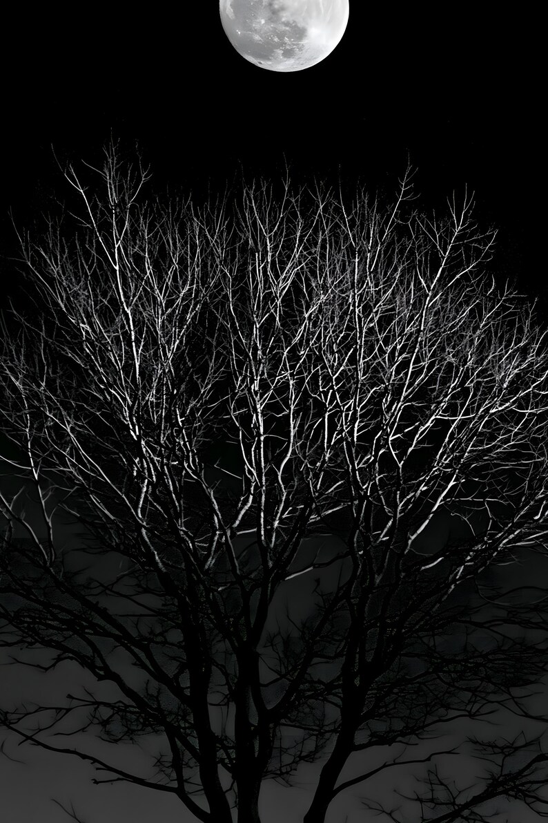 Full Moon Behind Oak Tree Print, Moody Night Sky Wall Art (Digital Download) image 4