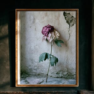 Impression pivoine mauve, art mural Dark Academia, décoration de meuble gothique (téléchargement numérique) image 1