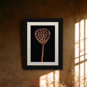 Lotus Seed Pod Print, Dried Botanical Art, Dark Academia Office Art, Copper Brown Printable image 7