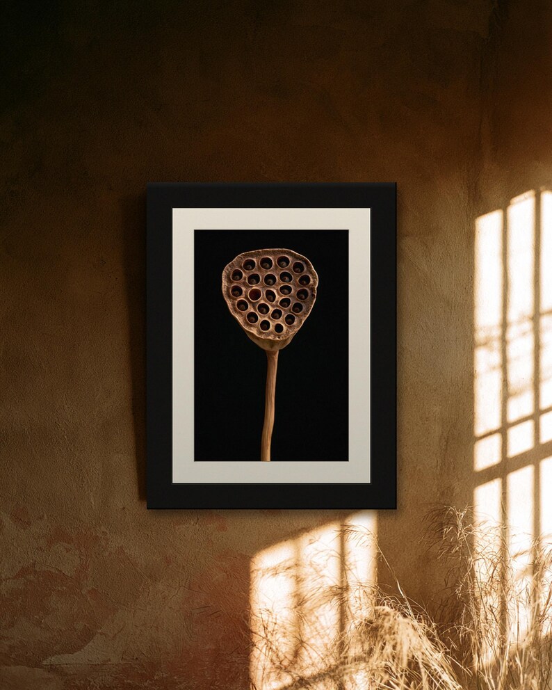 Lotus Seed Pod Print, Dried Botanical Art, Dark Academia Office Art, Copper Brown Printable image 7