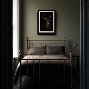 Stag Beetle Print, Dark Academia Wall Art, Gothic Cabinet of Curiosities (Digital Download) image 6