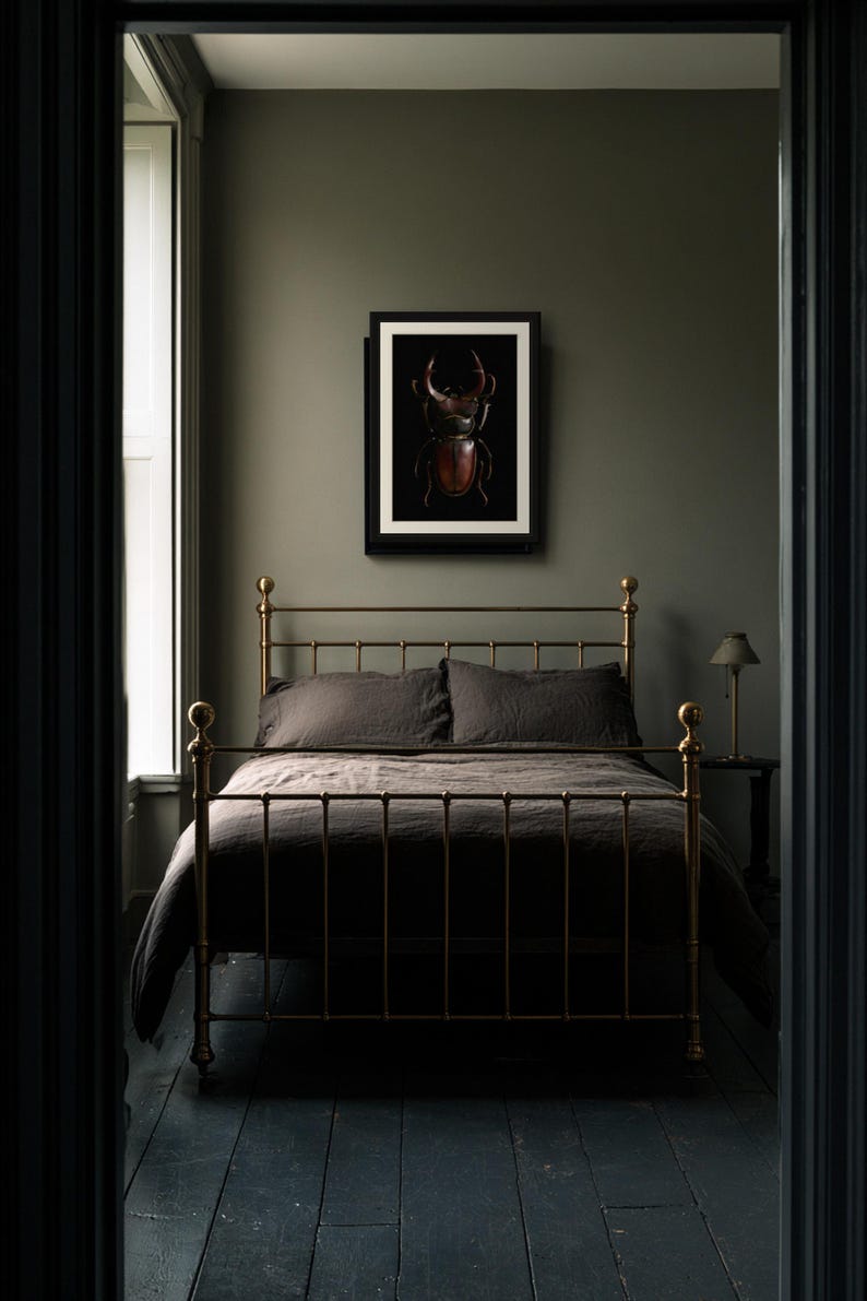 Stag Beetle Print, Dark Academia Wall Art, Gothic Cabinet of Curiosities (Digital Download) image 6