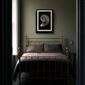 Lámina con sección transversal de concha de nautilo, arte mural de estilo Dark Academia, decoración gótica para armarios (descarga digital) imagen 6