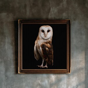 Barn Owl Print, Dark Academia Wall Art, Gothic Cabinet of Curiosities Decor, Digital Download image 1