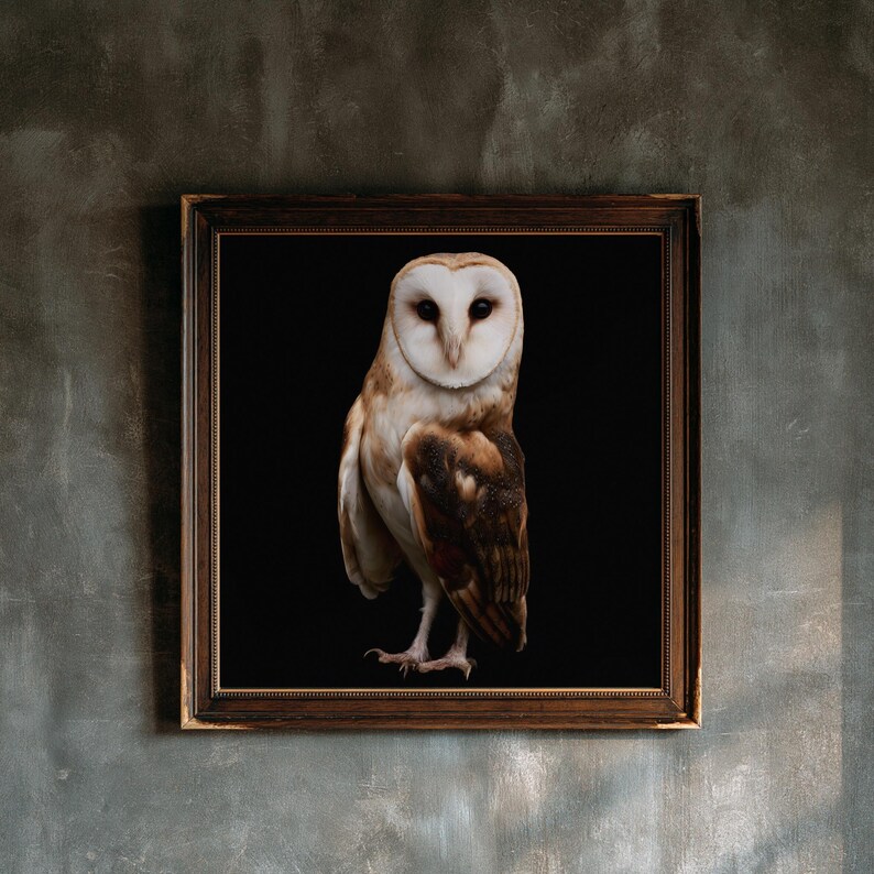 Barn Owl Print, Dark Academia Wall Art, Gothic Cabinet of Curiosities Decor, Digital Download image 1