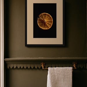 Dried Orange Slice Print, Amber Citrus Art, Dark Kitchen Wall Decor (Digital Download) image 8