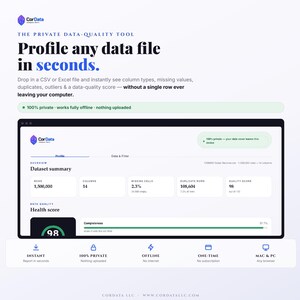 Ferramenta de Análise de Dados | Verificador Instantâneo de Qualidade de Arquivos CSV e Excel | Analisador 100% Offline e Privado | Download Digital