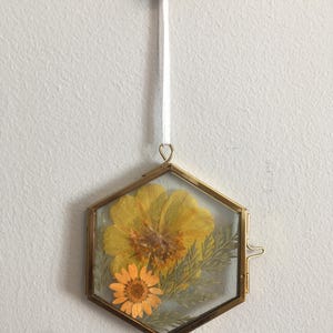May include: A hexagonal brass frame containing pressed yellow and orange flowers with green foliage. The frame is suspended by a white ribbon attached to a small wooden peg. The clear glass panels showcase the botanical arrangement clearly.