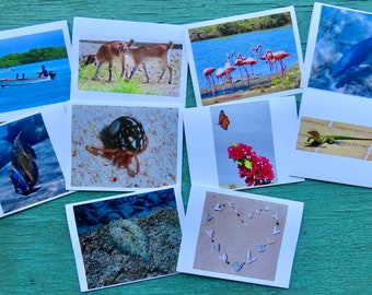 Bonaire Greeting Cards, #2