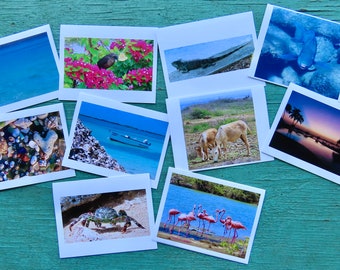 Bonaire Greeting Cards, #1