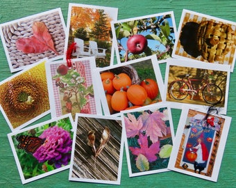 Autumn Greeting Cards