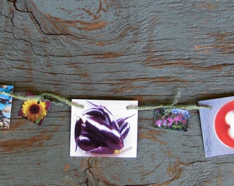 Food & Flowers Mini Garland