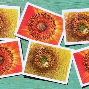 Sunflower Greeting Card Fundraiser for Ukraine