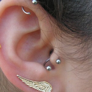 tragus septum horseshoe