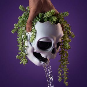 May include: A white skull-shaped planter with cracks on the cranium, filled with trailing light green succulent plants. The skull has large, dark, hollow eye sockets and an open mouth from which a stream of clear water flows downward.