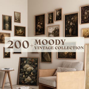 Könnte beinhalten: Eine Galeriewand mit zahlreichen gerahmten Kunstdrucken in dunklen, stimmungsvollen Blumen- und Landschaftsmotiven, darunter ein Schwan, Blumen und Bäume. Der Text 200+ MOODY VINTAGE COLLECTION ist mittig überlagert. Ein Holzstuhl und ein Beistelltisch sind zu sehen.