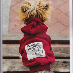 May include: A small dog wearing a red hooded sweatshirt. The sweatshirt has a white patch with the words "Pigeon patrol!" and a cartoon pigeon illustration. The dog's fur is light brown and tan.