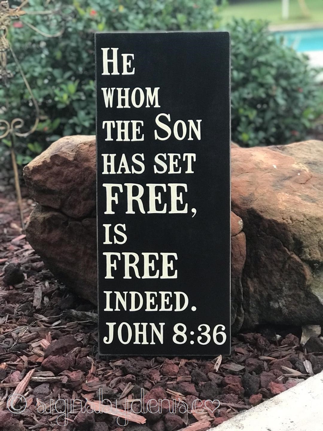 John 8:36 