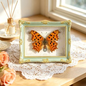 May include: A rectangular picture frame with a light mint green and gold ornate border containing a preserved orange butterfly with black spots. The butterfly is mounted on a cream-colored background with subtle decorative filigree patterns.
