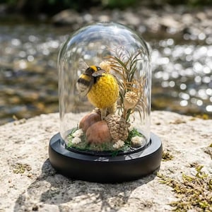 May include: A glass dome cloche with a black circular base containing a needle-felted bumblebee perched on a yellow sphere. The arrangement includes brown acorns, a dried poppy seed pod, thin green foliage, and small white flowers on moss.