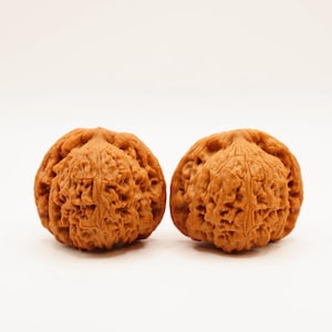 Nanjiangshi Lion Head Wenwan Walnut Pair 41x37x40mm | Rare Chinese Walnut · Hand-Matched Fidget & Hand Exercise