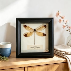 May include: A square black shadow box frame containing a preserved dragonfly with translucent amber-toned wings. Below the insect, a rectangular label features the text "HAPPINESS IS HAPPENING" printed in a clear, dark serif font on a cream background.