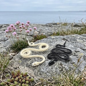 May include: Two articulated snake skeletons, one in off-white and one in black, resting on a rocky surface. The snake figures feature detailed spinal columns and rib structures. Small pink flowers on thin green stems grow nearby on the rock.
