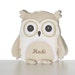 see more listings in the Owl Pillows section
