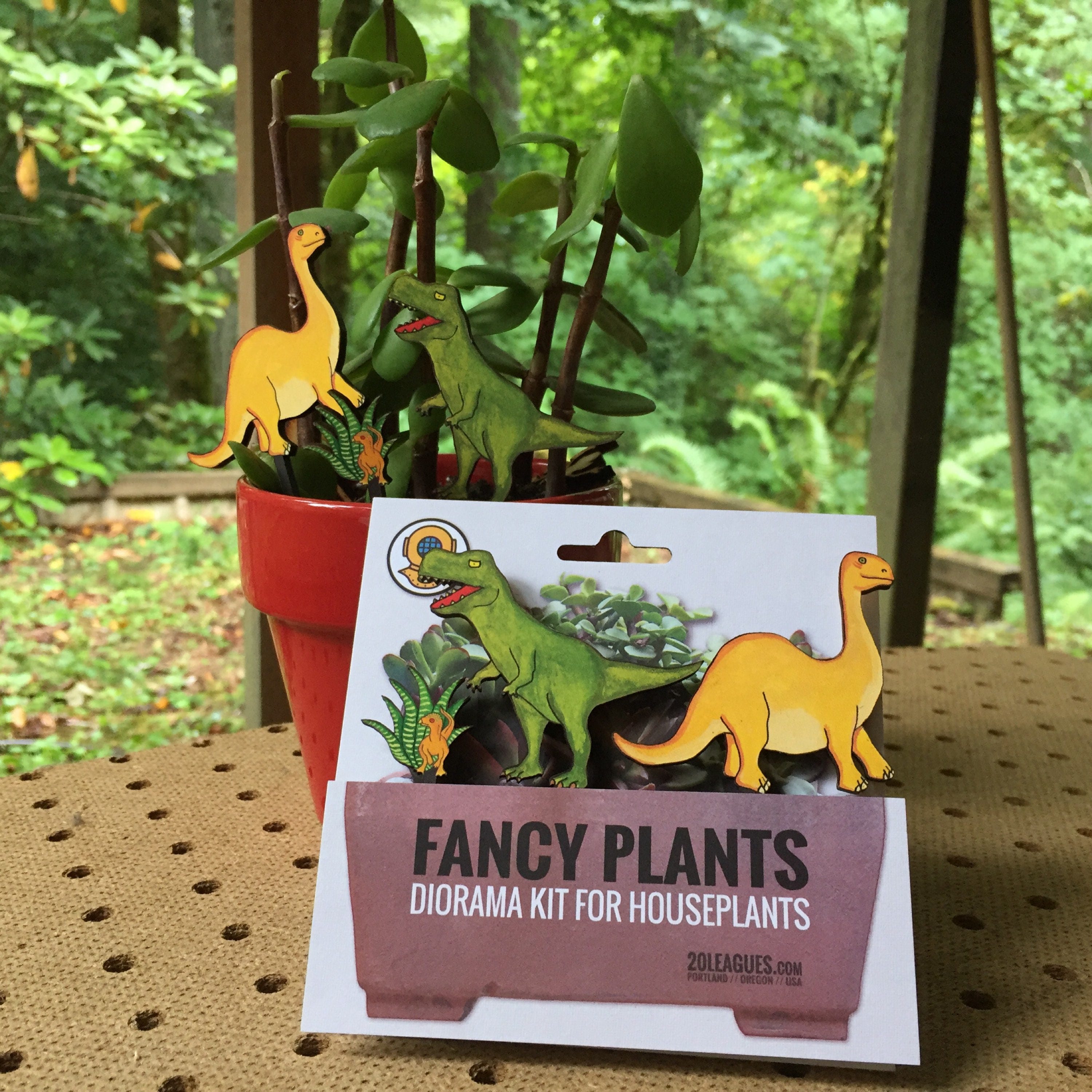 Fancy Plants Diorama Kit Etsy