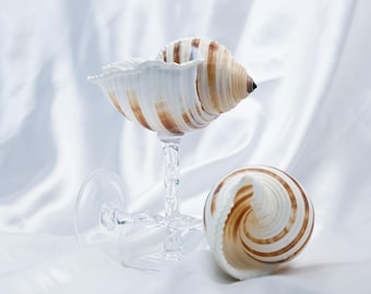 Handcrafted Seashell Wine Glass | Coastal Ocean Decor