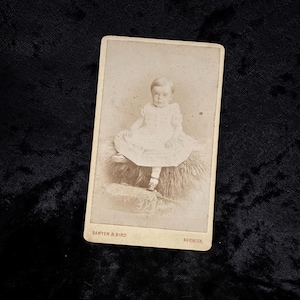 Antique vintage Victorian Edwardian 1800s early 1900s CDV photo cabinet card of a child carte de visite ephemera curio photograph