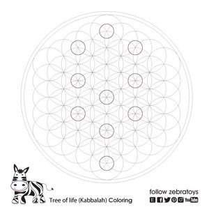 Download Sacred Geometry Symbols Coloring Book Spiritual Esoteric Etsy
