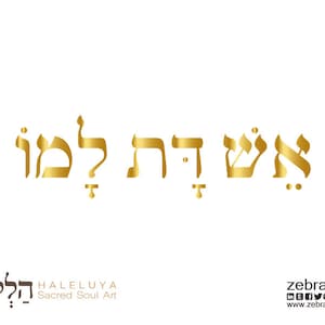 May include: Gold Hebrew text on a white background. The text reads from right to left. Below the text is the word "Halleluya" in Hebrew, with "Sacred Soul Art" below it. The logo for zebratoy's is in the bottom right corner.