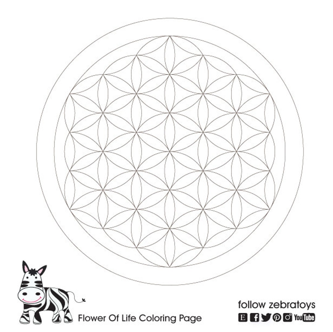 Flower of Life Coloring Book_sacred Geometry Mandalas-spiritual ...